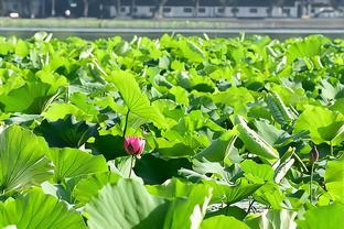 麦卡利斯特庆祝25岁生日：愿望之一就是尽快回到球场